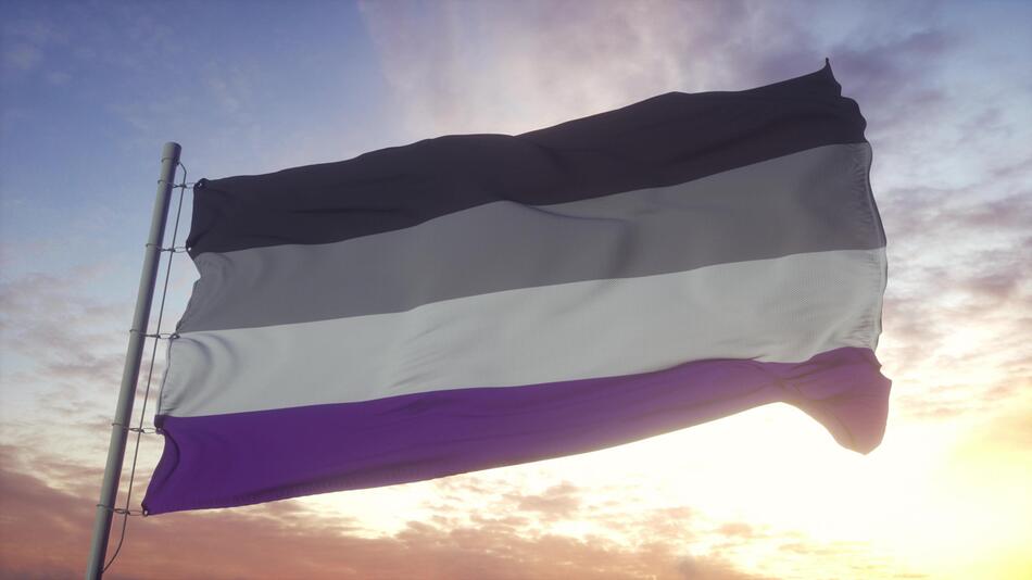 Asexuellen Flagge