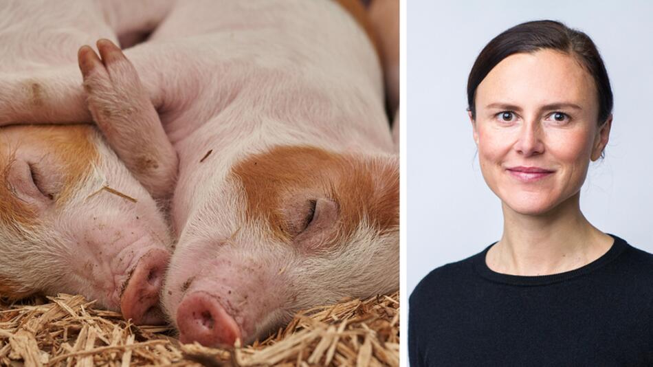 Peta fordert Grundrechte für Tiere: Interview mit Dr. Vera Christopeit