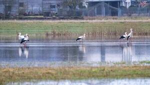 Hochwasser in Bayern
