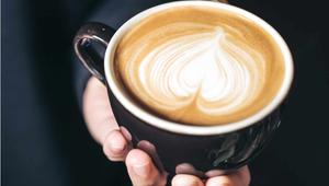 ÖKO-TEST: 14 Barista-Haferdrinks sind „sehr gut“ – Oatly nur „ausreichend“