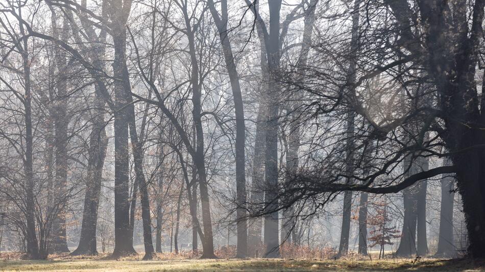 Wetter in Brandenburg