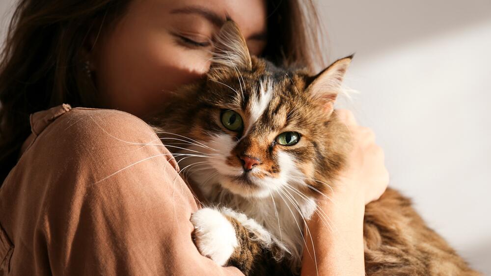 Katzen ahmen die menschliche Sprache nicht nach.