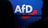 AfD Logo - SYMBOLBILD