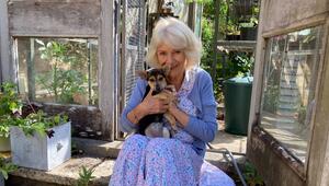 Königin Camilla mit ihrem neuen Hund Moley.