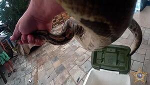 Python auf dem Pooldeck – Einsatz des Lee County Sheriff