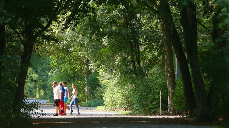 Spaziergang in der Hasenheide