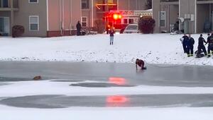 Hund bricht ins Eis ein – mutiger Feuerwehrmann kriecht zu Vierbeiner