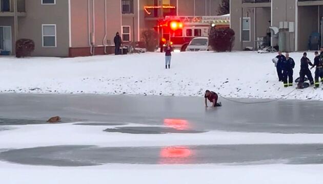 Hund bricht ins Eis ein – mutiger Feuerwehrmann kriecht zu Vierbeiner