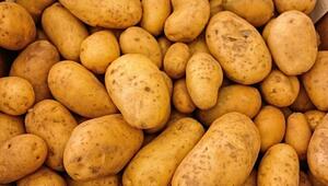 kartoffeln kühlschrank