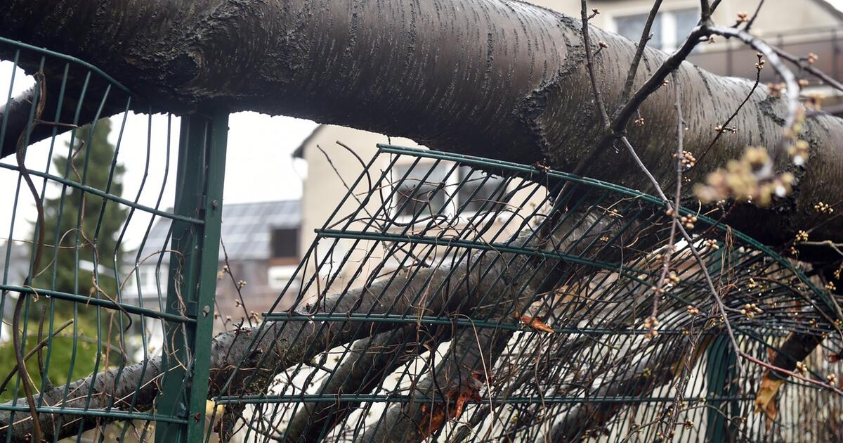 Sturm "Eberhard" in NRW DWD gibt zweithöchste Warnstufe