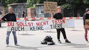 Todesurteil für Paviane? Tiergarten schließt für einen Tag
