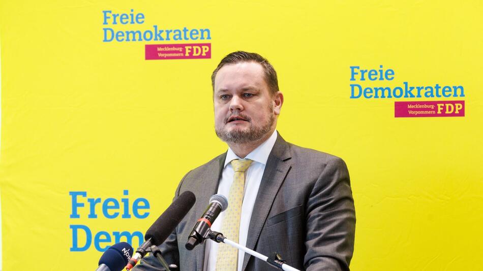 Landesparteitag FDP Mecklenburg-Vorpommern