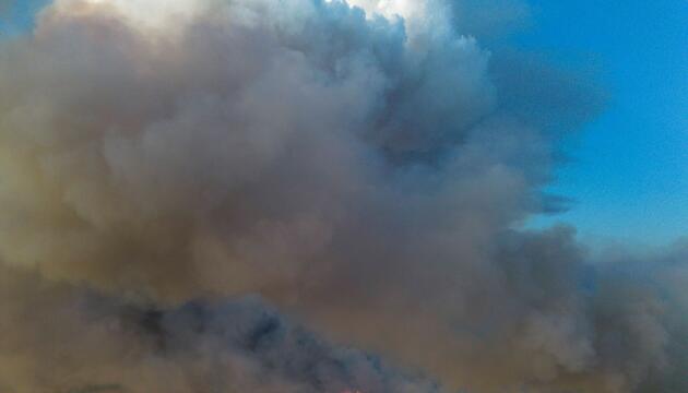 Waldbrand in der Gohrischheide