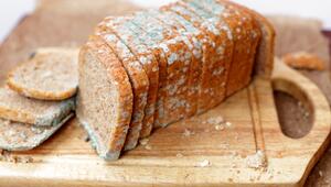 Brot Schimmel