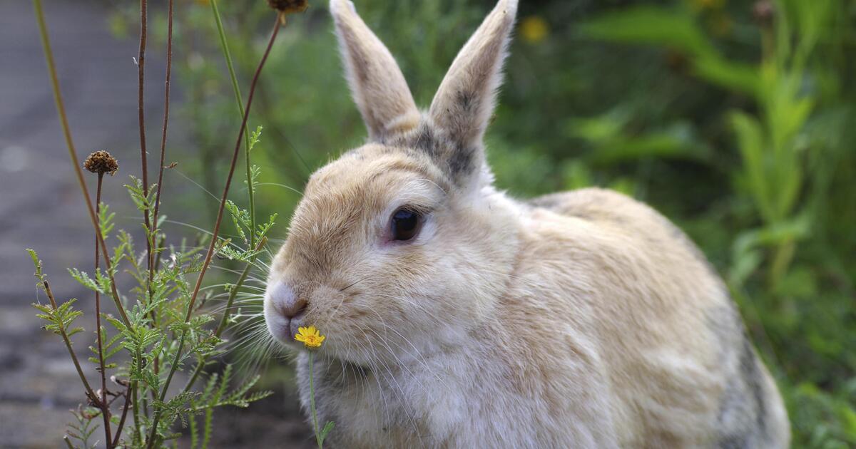 Fällt Ostern ins Wasser? Das erwartet uns