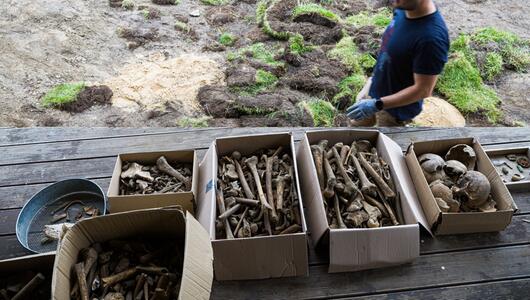 Familie findet Knochen im Garten in Braunschweig