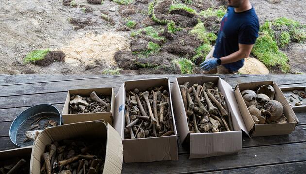 Familie findet Knochen im Garten in Braunschweig