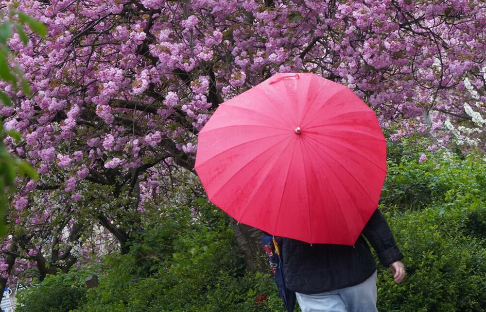 Regenwetter in Hamburg