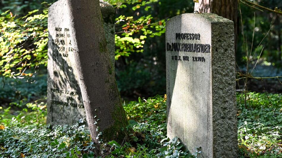 Südwestkirchhof Stahnsdorf - Grab von Max Friedlaender
