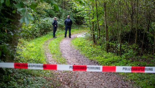 Leiche in Waldstück gefunden