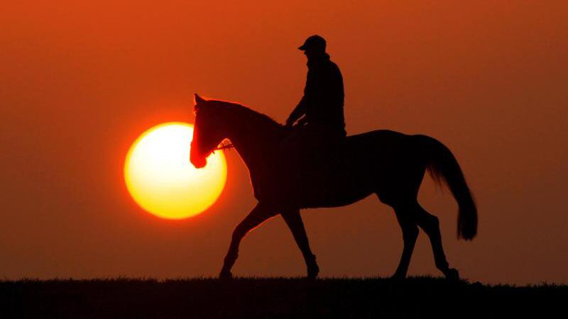 Reiter und Pferd im Sonnenuntergang
