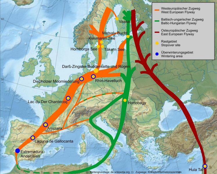 Zugwege, Kraniche, Europa