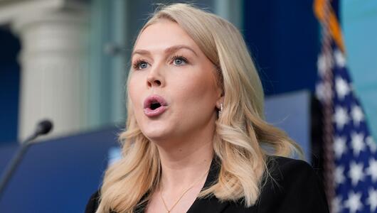 Die US-Regierung will sich von ihren Plänen für Grönland nicht abbringen lassen.