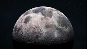 Mikroben könnten auf dem Mond überleben