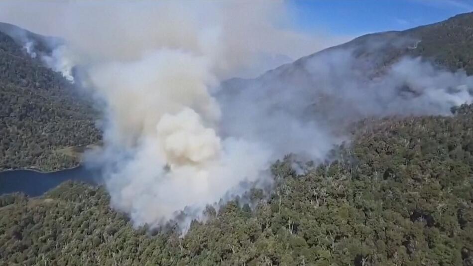 Waldbrand in Argentinien