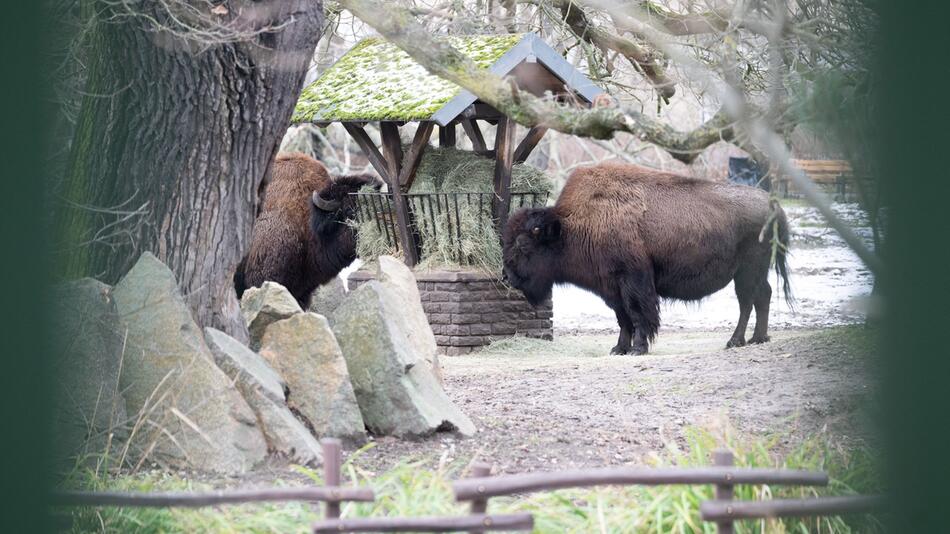 Tierpark Berlin