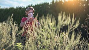 Pollen, Allergie, Heuschnupfen, Klimawandel, Blütezeiten, Invasive Arten