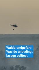 Waldbrandgefahr steigt: Was du auf keinen Fall tun solltest