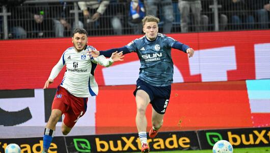 Hamburger SV - FC Schalke 04