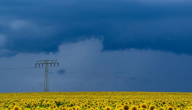 Wetter in Brandenburg