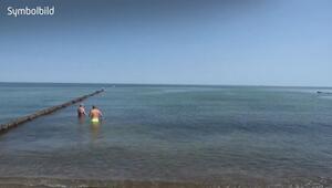Gefahr durch Vibrionen: Risiko steigt an Nord- und Ostsee durch Sommerhitze