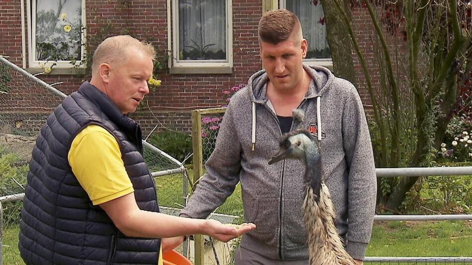 Entlaufene Tiere schweißen Heino (l.) und Markus zusammen.