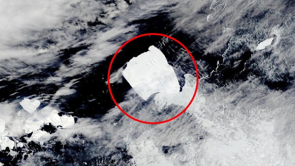 Der größte Eisberg der Welt A23a hat sich befreit – es ist sein Todesurteil