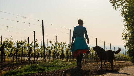 Morgens in Rheinland-Pfalz