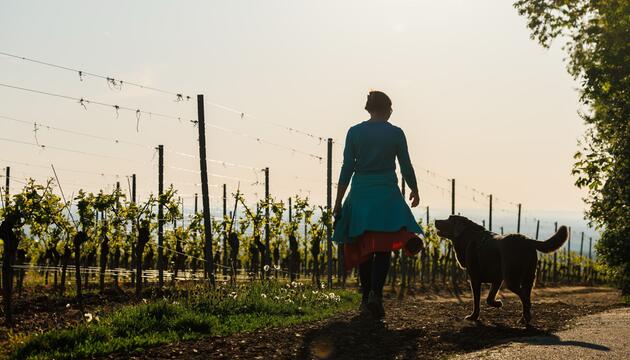 Morgens in Rheinland-Pfalz