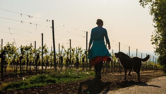 Morgens in Rheinland-Pfalz
