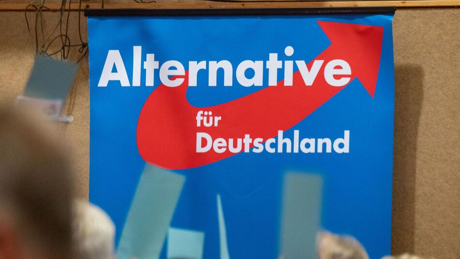 Plakat AfD