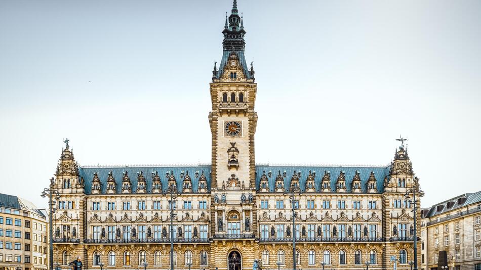 Blick auf das Rathaus in Hamburg
