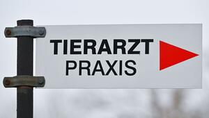 Tierarzt - Praxis