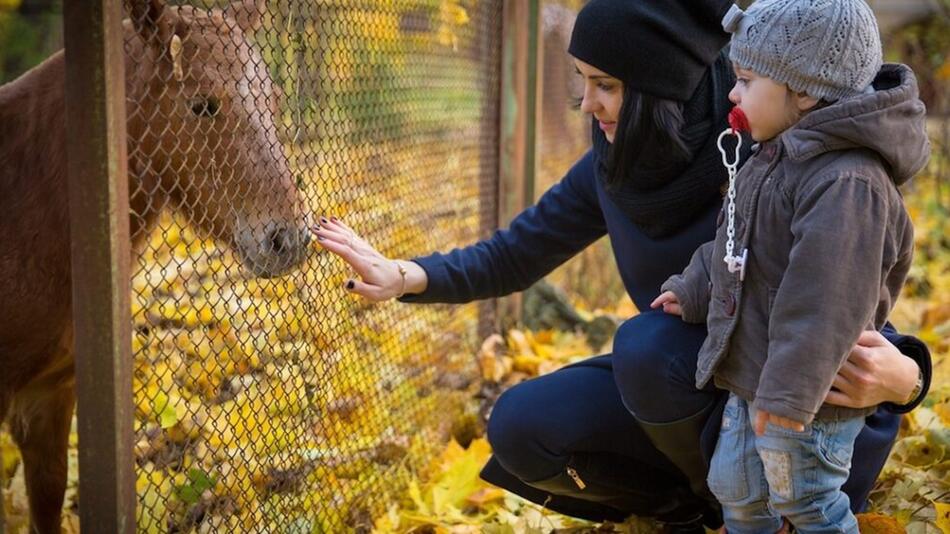 Tiere sind keine Weihnachtsgeschenke.