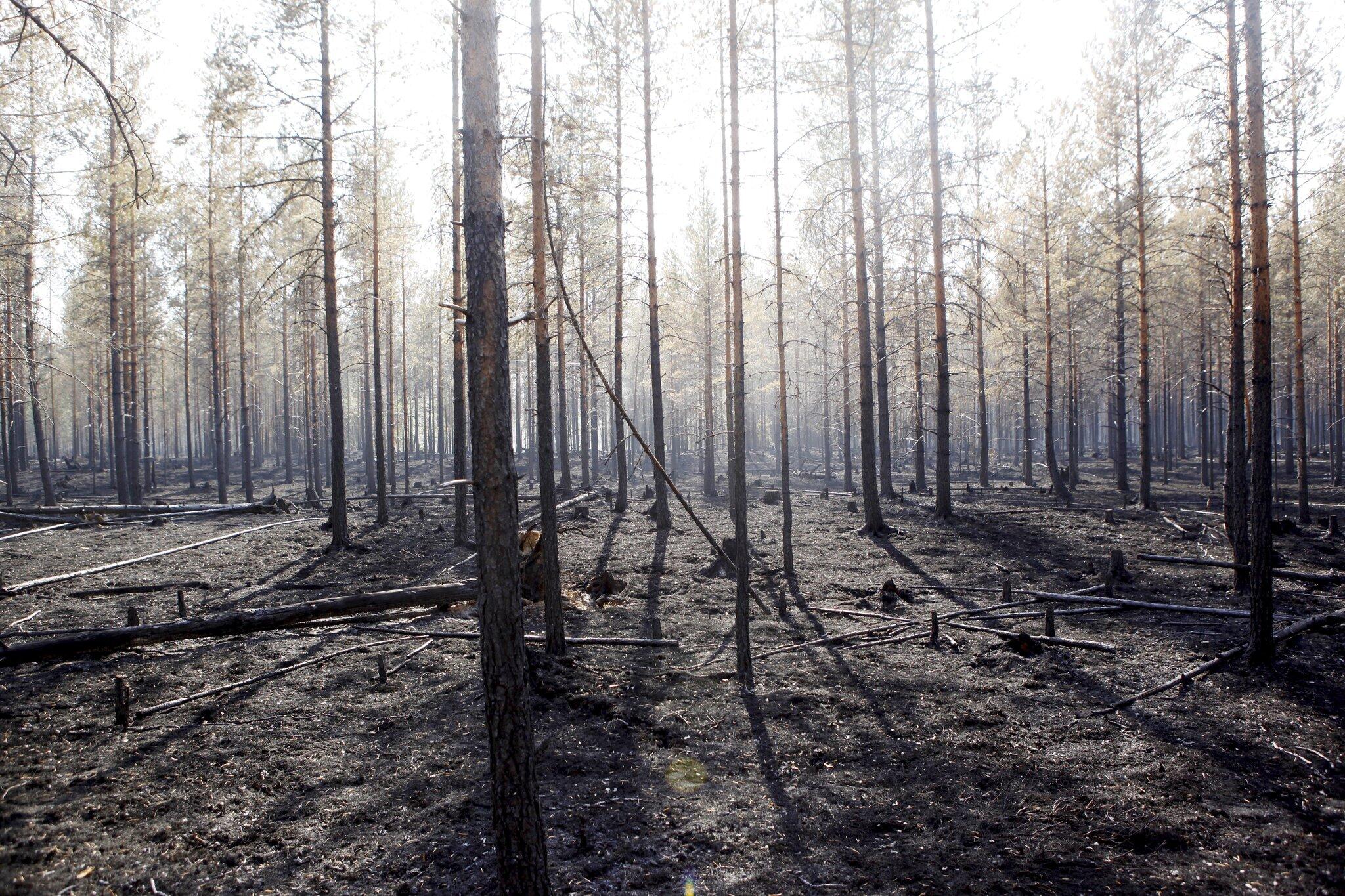 Schweden: Trotz abnehmender Waldbrände sind noch immer vier Feuer außer