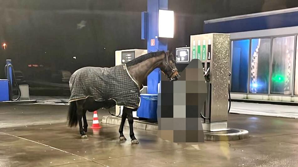 Da steht ein Pferd an der Tankstelle.