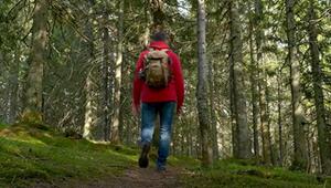 Warum der Maggi-Geruch im Wald gefährlich sein kann