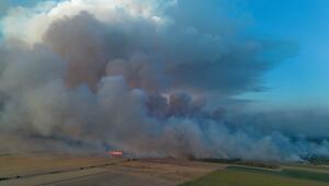 Waldbrand in der Gohrischheide