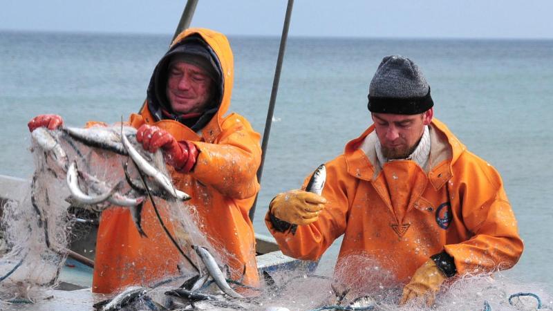 Fischer auf Rügen