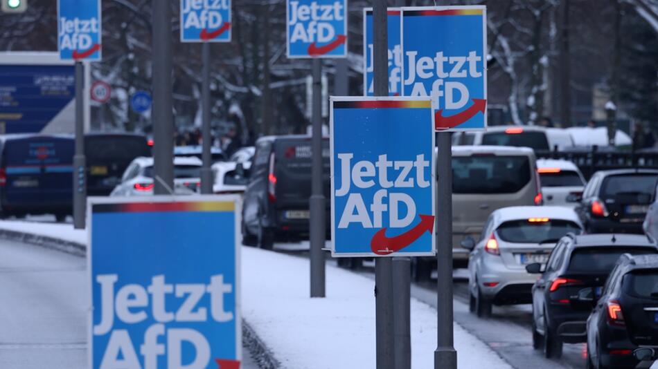 Für über 6.000 Plakate: AfD erhält Millionenspende aus Österreich